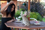 mačiatka savannah pre nový domov